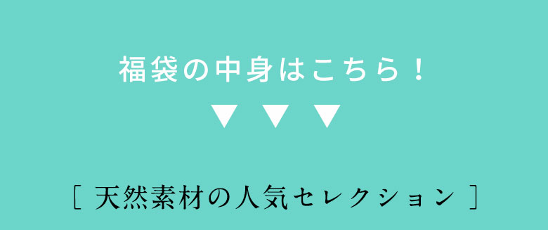 中身はこちら。