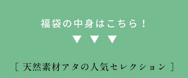 中身はこちら。