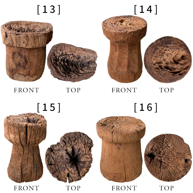 形や穴の開き方、朽ち方まで異なる
表情