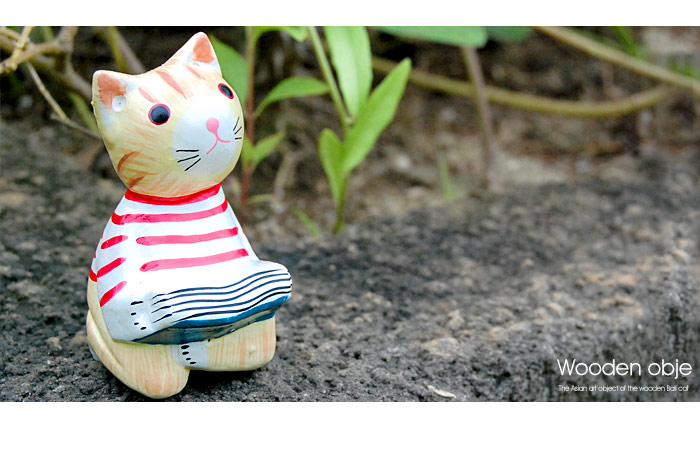 バリ島からやってきた可愛い洋服を着た三毛猫バリネコ。
