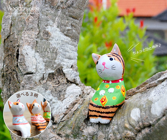 バリ島からやってきた可愛い洋服を着た三毛猫バリネコ。