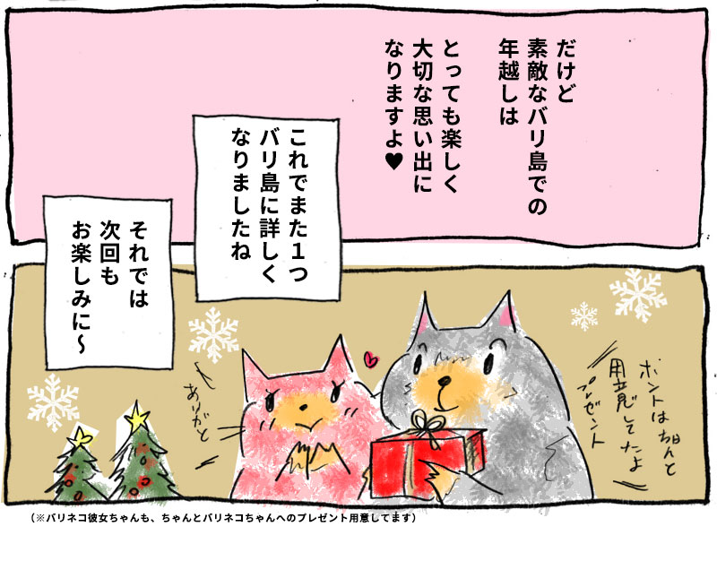 バリネコちゃん連載、次回もお楽しみに