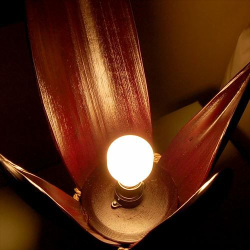 アジアン 照明 傘 ブラウン おしゃれ照明 和風照明 アジアン照明 間接