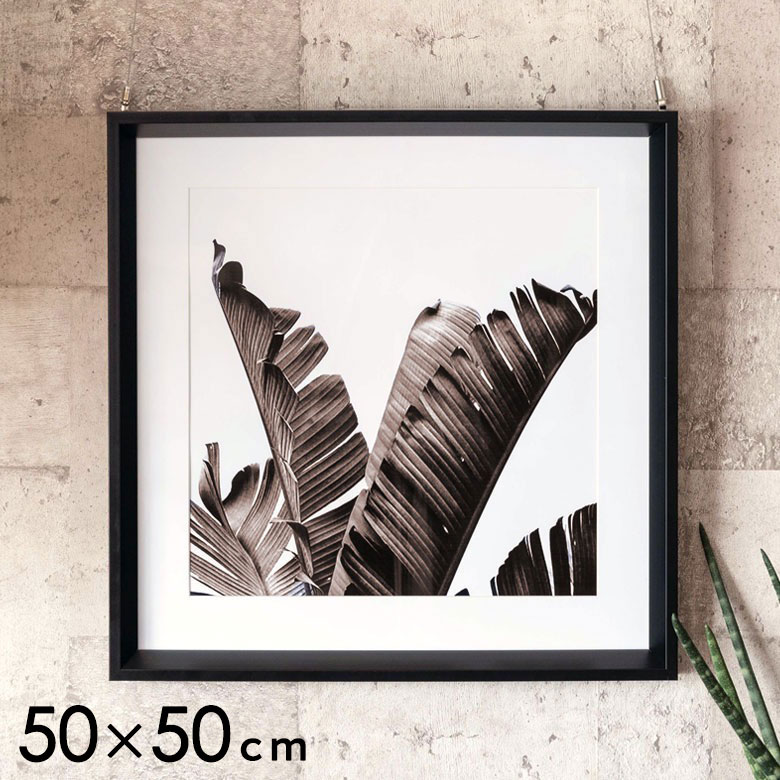 アートパネル 壁掛け インテリア リーフ モノクロ 50×50cm アート 