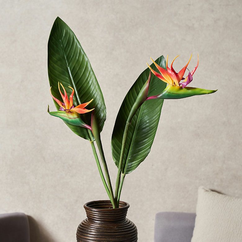 【セット販売】木製ベースとリアルな造花アレンジメント（ストレリチア等） 楽天市場】【公式】ストレリチア×トクサ リングベースL 造花