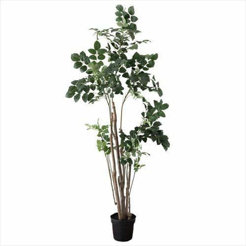 16日まで）日本製　フェイクグリーン　ポリシャス　ポリスキアス　鉢カバー付 000000003031-06-l.jpg?t=