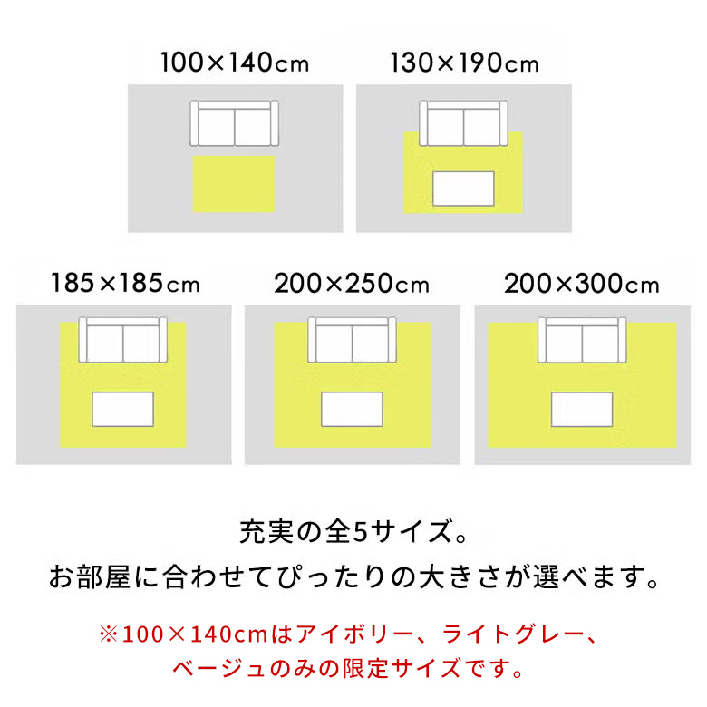 【送料無料】ラグマットソフチェ[約200cm×250cm][床暖対応]【ラグラグカーペット厚手低反発のような高反発おしゃれかわいいカーペットフランネルマット大きい滑り止め赤ちゃん長方形防音マイクロファイバー肌触り子供】