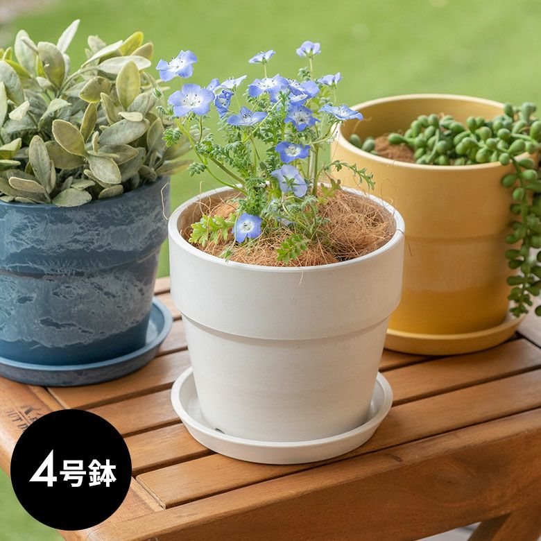 植木鉢 プランツポット 4号鉢 プラスチック 無地 受け皿付き [90308]【 プランター 直径13.5cm 4号 鉢カバー プランターカバー  ガーデニング 園芸 花 観葉植物 ベランダ おしゃれ ブラック アイボリー ホワイト ブラウン ピンク イエロー ブルー 底穴あり】