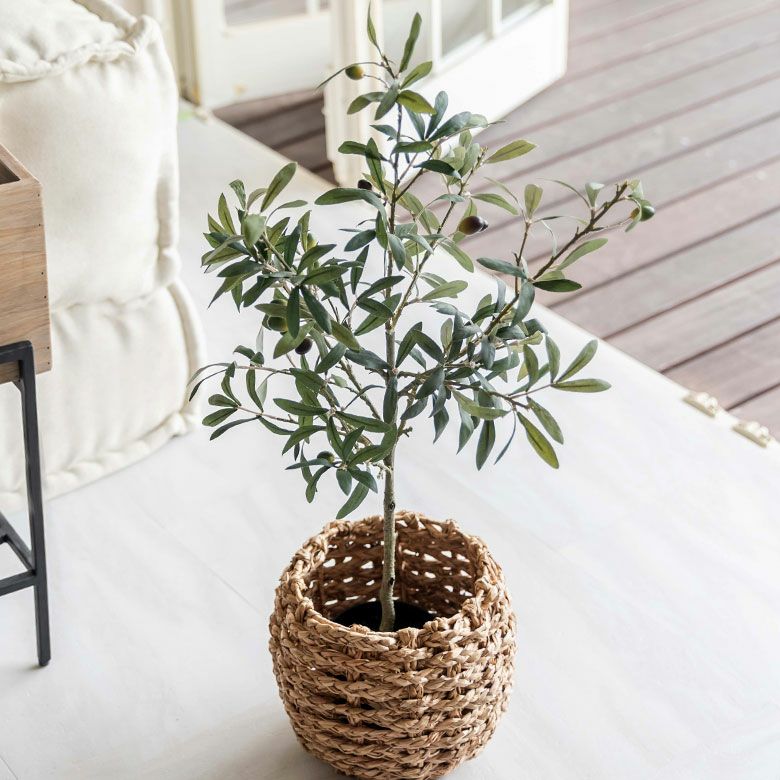 フェイクグリーン オリーブ 高さ 70cm 鉢付き 観葉植物 グリーン [99093]【 オリーブの木 実付き アーティフィシャルプランツ フェイクプランツ  ポット付き ボタニカル インテリア おしゃれ ナチュラル リビング 寝室 玄関 カフェ 店舗 小さめ リゾート】 | バリ島直輸入 ... 人工オリーブツリー フェイクプラント 鉢植え 織バスケット付き グリーン 植物 装飾 屋内 リビングルーム オフィス H 76.2