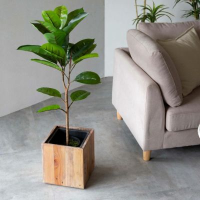フェイクグリーン ゴムの木 高さ 95cm 鉢付き 観葉植物 グリーン [99089]【 ゴム アーティフィシャルプランツ フェイクプランツ ポット付き ボタニカル インテリア おしゃれ ナチュラル リビング 寝室 玄関 カフェ 