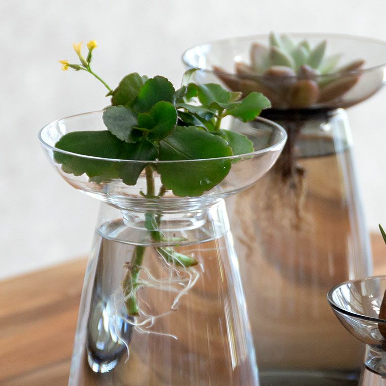 000000004309-13-l.jpg?t=