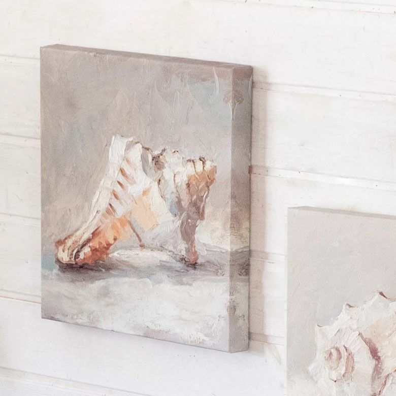 油画　貝殻 海藻和贝壳油画素材_图品汇