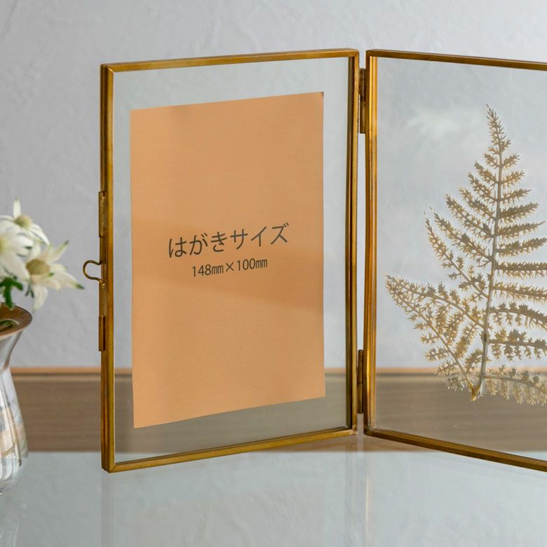 画像の2点セット 画像の2点セット patagonia】キッズ・バギーズ・ショーツ 7インチ