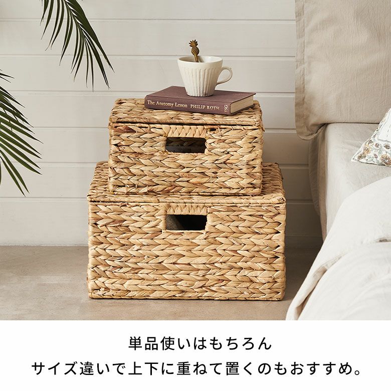 楽天市場】かご バスケット 蓋付き Lサイズ 収納ボックス フタ