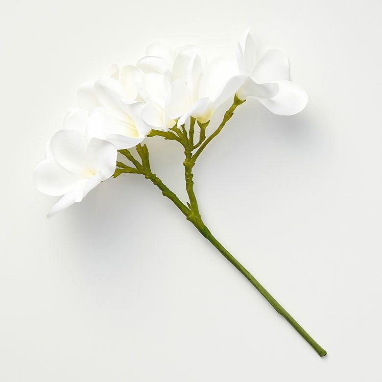 プルメリア花型シャンデリア ホワイト リモコン付き プルメリア花型シャンデリア ホワイト リモコン付き プルメリア花型