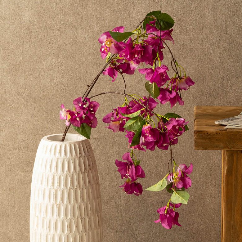 000000005133-01-l.jpg?t=