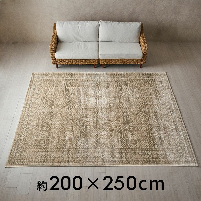 カーペット 絨毯 長方形 約200×250cm メダリオンブラウン 抗菌 防臭 消