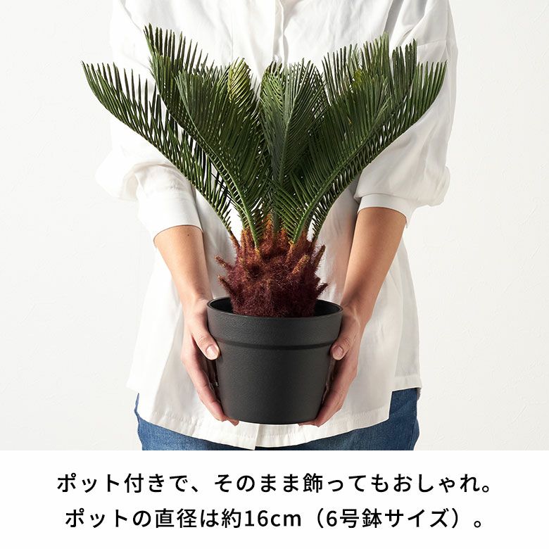 フェイクグリーン ソテツ 高さ 47cm 観葉植物 グリーン アーティ