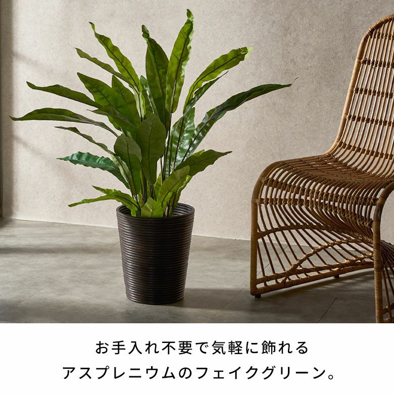 フェイクグリーン アスプレニウム オオタニワタリ 高さ 90cm 観葉植物 グリーン フラワー 花 アーティフィシャルプランツ フェイクプランツ  シダ植物 造花 アートグリーン ディスプレイ ナチュラル 6号鉢 リビング リゾート おしゃれ 北欧 インテリア 雑貨 アジアン [94757]