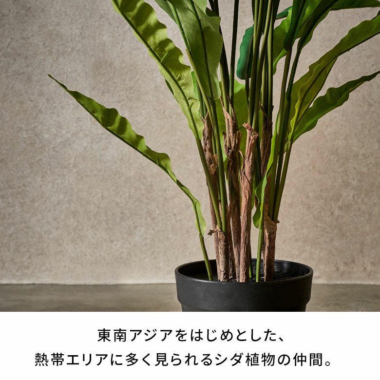 フェイクグリーンアスプレニウムオオタニワタリ高さ90cm観葉植物グリーンフラワー花アーティフィシャルプランツフェイクプランツシダ植物造花アートグリーンディスプレイナチュラル6号鉢リビングリゾートおしゃれ北欧インテリア雑貨アジアン[94757]