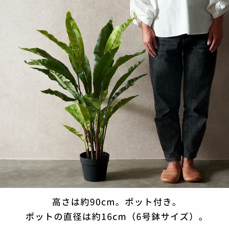 フェイクグリーンアスプレニウムオオタニワタリ高さ90cm観葉植物グリーンフラワー花アーティフィシャルプランツフェイクプランツシダ植物造花アートグリーンディスプレイナチュラル6号鉢リビングリゾートおしゃれ北欧インテリア雑貨アジアン[94757]