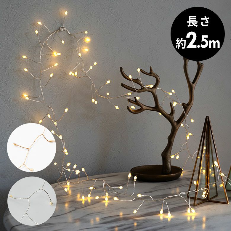 LEDライト クリスマス 電飾 LED ワイヤー 250cm 2.5m タイマー リモコン付き イルミネーション ライト USB  クリスマスデコレーション 間接照明 オブジェ インテリア ハロウィン パーティー 誕生日 おしゃれ 北欧 シンプル かわいい リゾート 雑貨 ギフト  アジアン