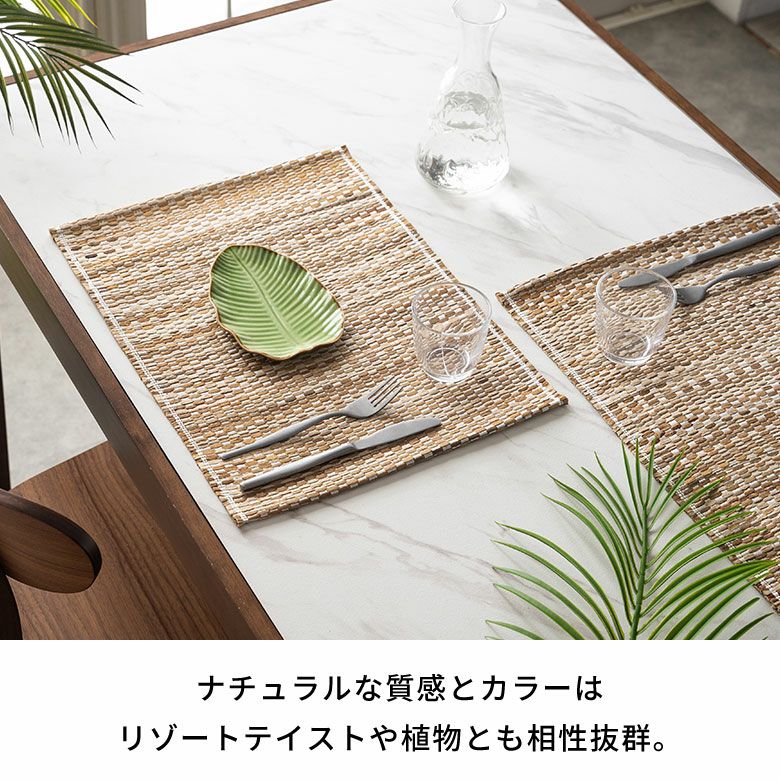 ランチョンマットシーグラスプレイスマット約W48cmD35cmH0.5cmプレースマットディスプレイマットテーブルコーディネートダイニングキッチンリビングテーブルディスプレイアートおしゃれ北欧リゾート雑貨インテリアメール便対応アジアン[14095-h]
