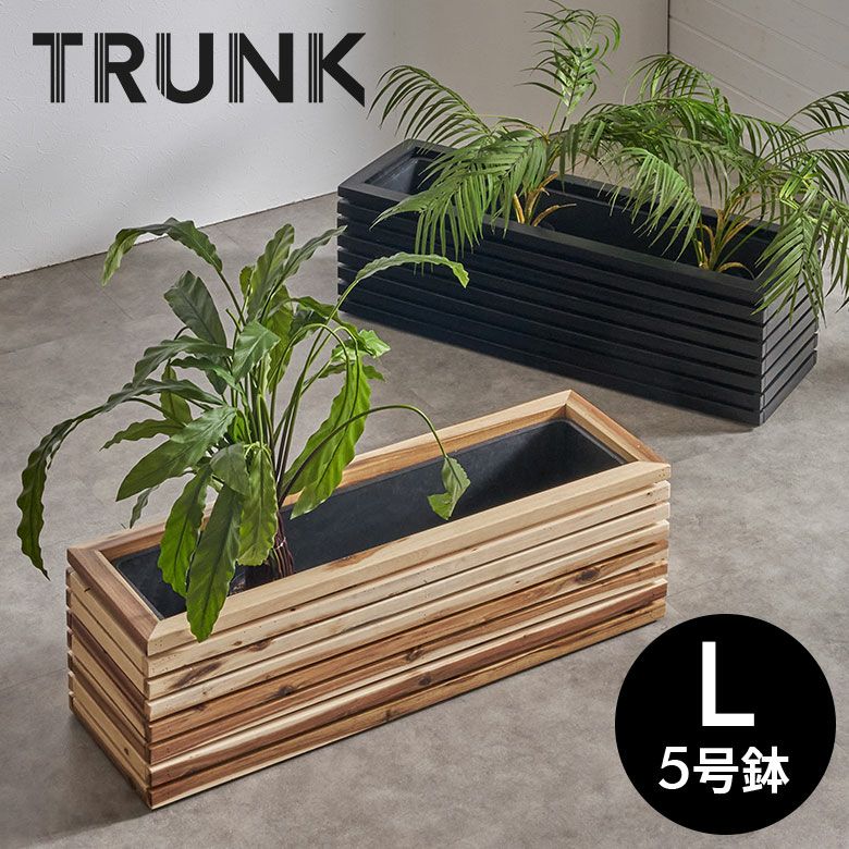 らくらくキューブ箱無し3セット ポイント付き 脱し