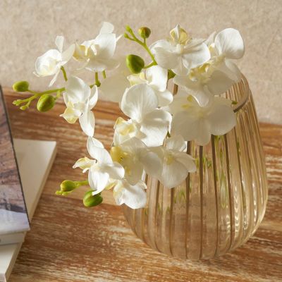 フラワーベース クリア ガラス 花瓶 Sサイズ 約 W 13cm D 13cm H フラワーベース クリア ガラス 花瓶 Sサイズ 約 W 13cm D 13cm H