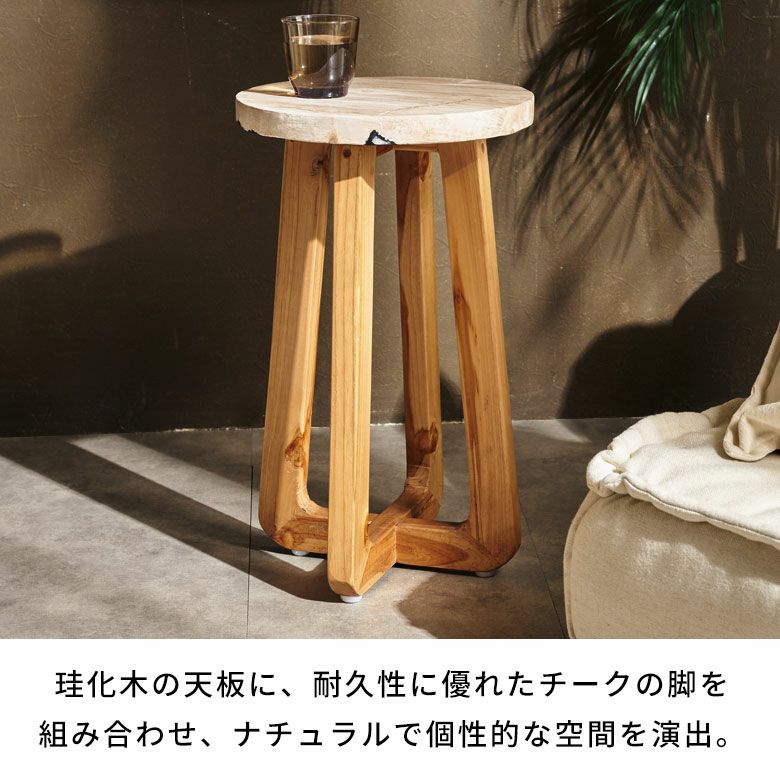 貴重な木化石のスツールとテーブル