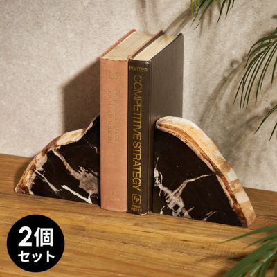 大自然の歴史を纏う木の化石フォッシルストーン...