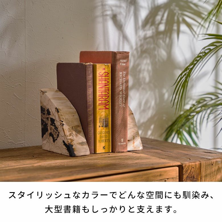 ブックエンド　木の化石　珪化木 珪化木のブックエンド＜木の化石＞ / ブライトンアクセサリーズ