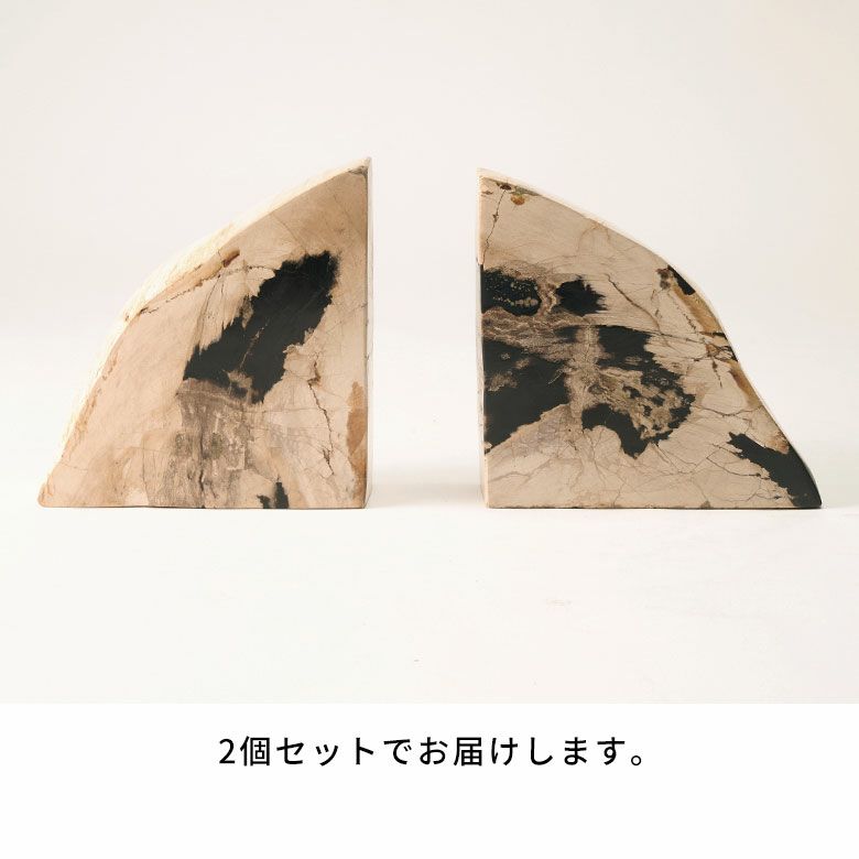 大自然の歴史を纏う木の化石フォッシルストーンで作られたブックエンド