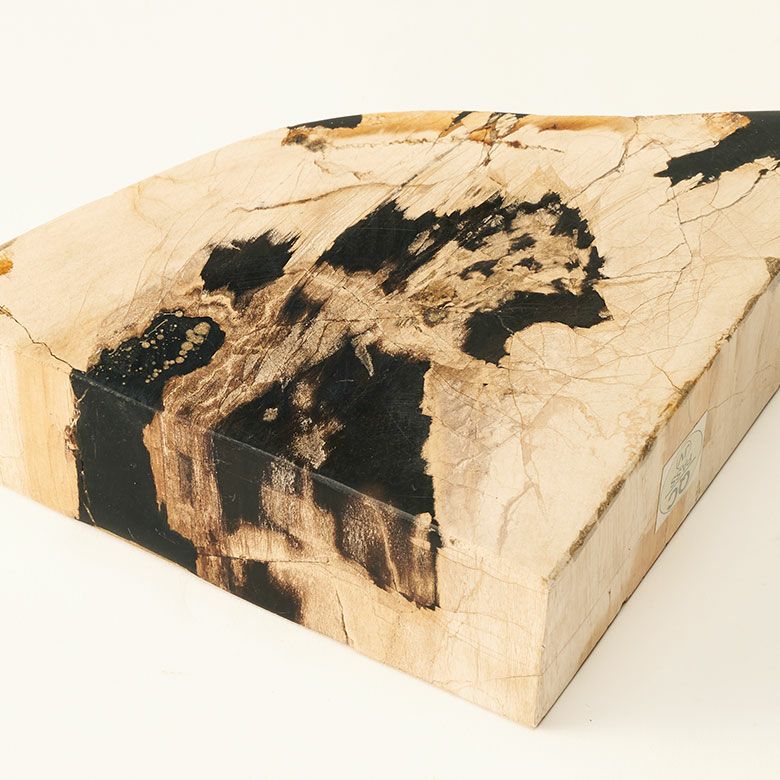 大自然の歴史を纏う木の化石フォッシルストーンで作られたブックエンド