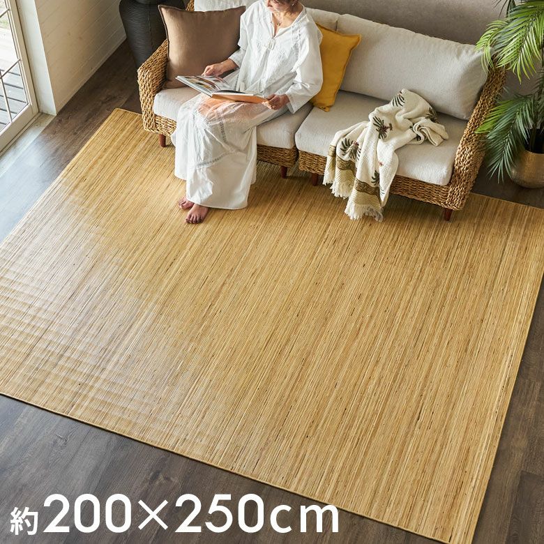 籐むしろ ３９穴 夏の敷物の王様 200x250cm ラタンカーペット 天然素材 000000006741-01-l.jpg?t=